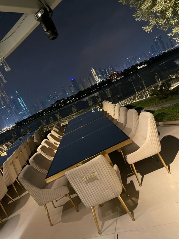 Velvet Dining Chair - Image 3