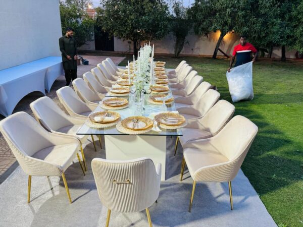 Velvet Dining Chair - Image 4